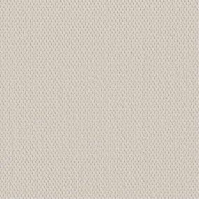 Berber Authentic Beige/Tan Carpet