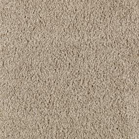Texture Early Dawn Beige/Tan Carpet