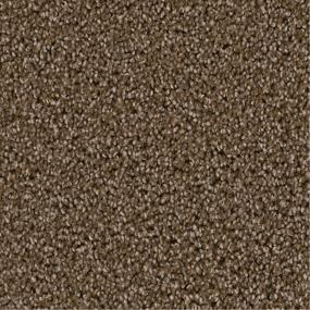 Textured Saxony Prestigious Brown Carpet