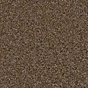 Texture Prestigious Brown Carpet