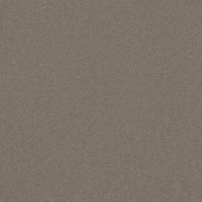 Textured Saxony Country Twill Gray Carpet
