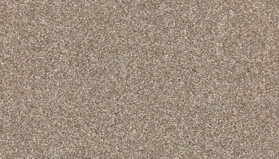 Textured Saxony Pier Brown Carpet