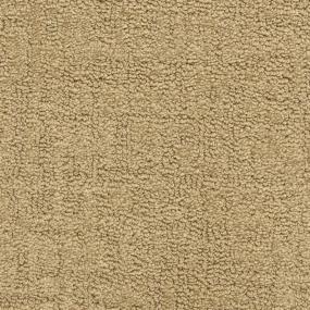 Pattern Golden Age Beige/Tan Carpet