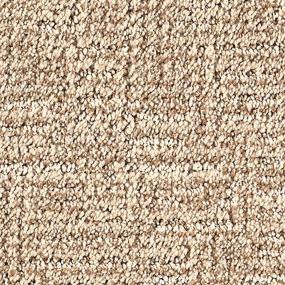 Pattern Toasted Almond Beige/Tan Carpet