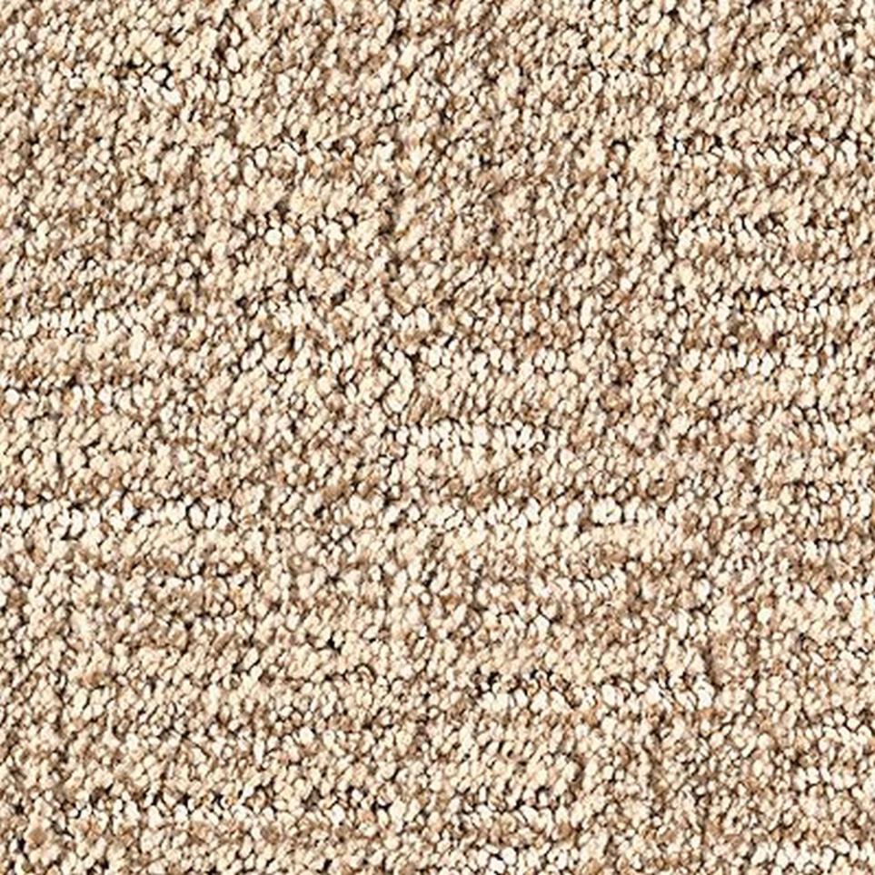 Pattern Toasted Almond Beige/Tan Carpet