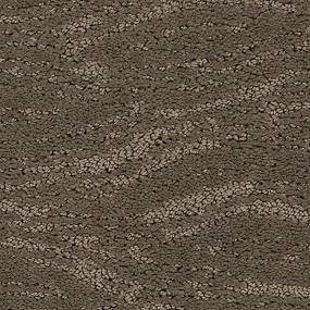 Pattern Dwelling Place Brown Carpet