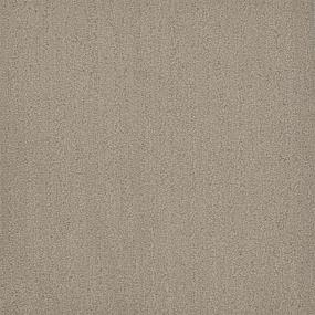 Pattern Breezy Brown Carpet
