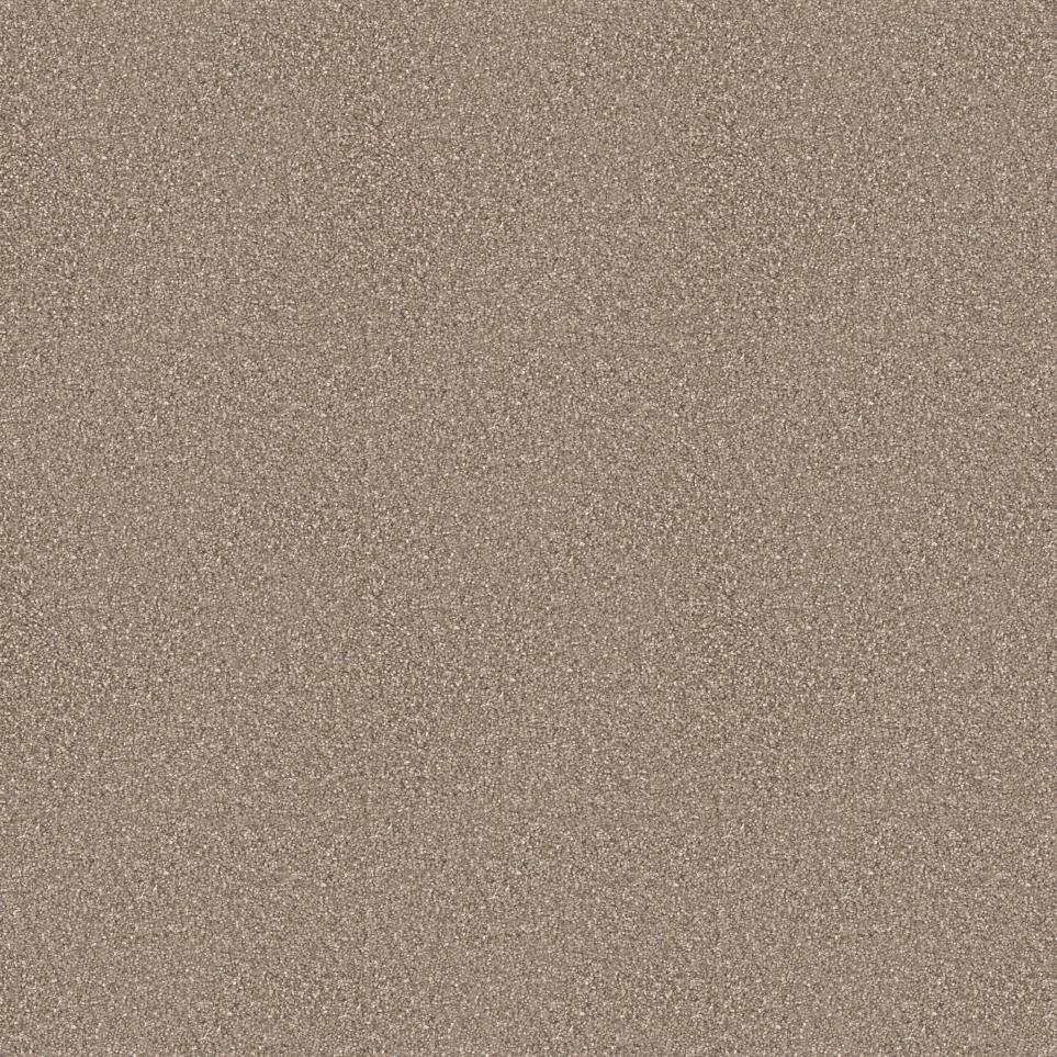 Texture Southern Comfort Brown Carpet