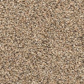 Texture Celebration Brown Carpet