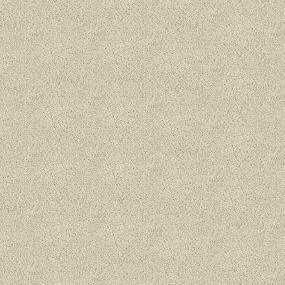 Textured Saxony Chamois Cloth Beige/Tan Carpet