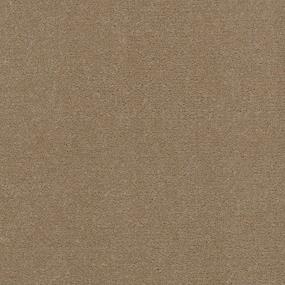 Cut Pile Biscuit Beige/Tan Carpet
