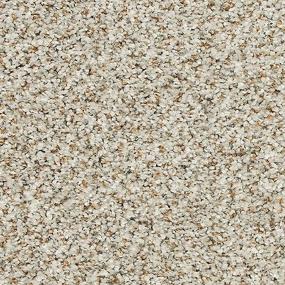 Pattern Pristine Brown Carpet