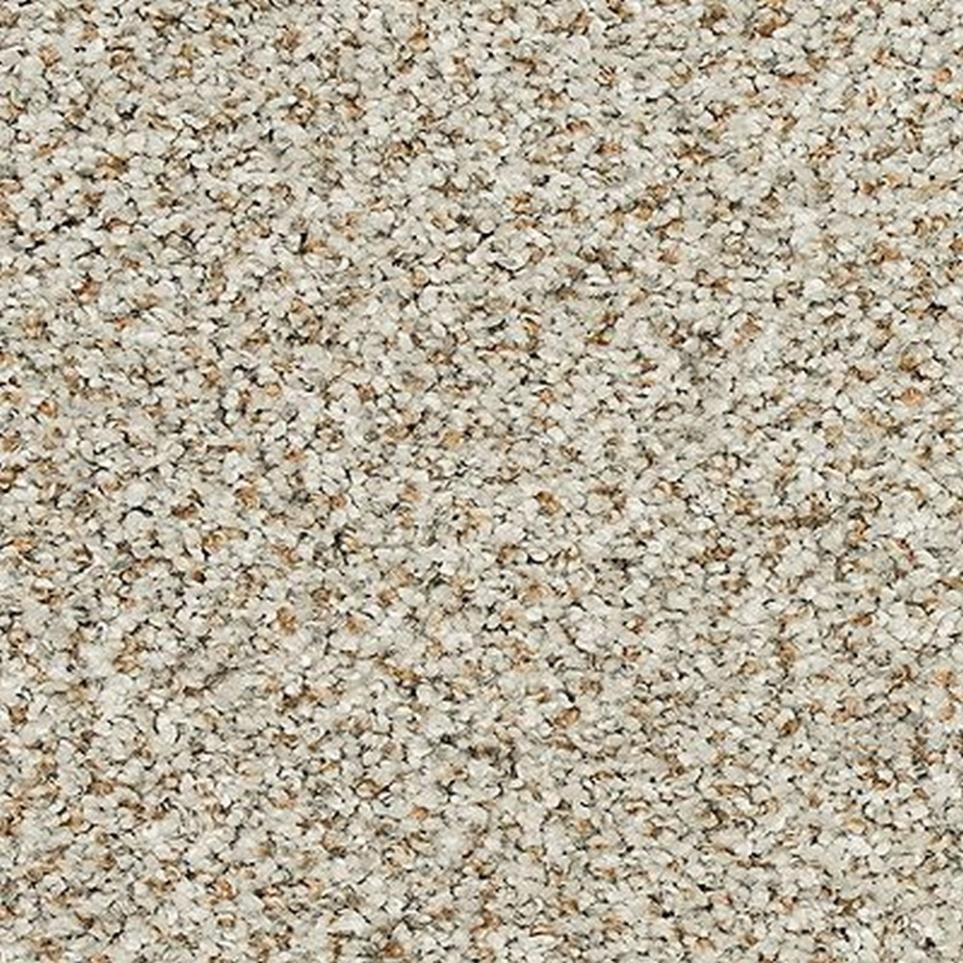 Pattern Pristine Brown Carpet