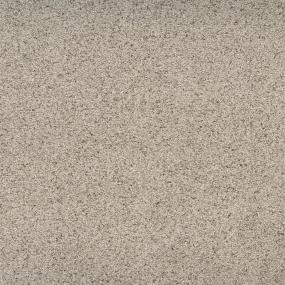 Textured Saxony Astute Beige/Tan Carpet