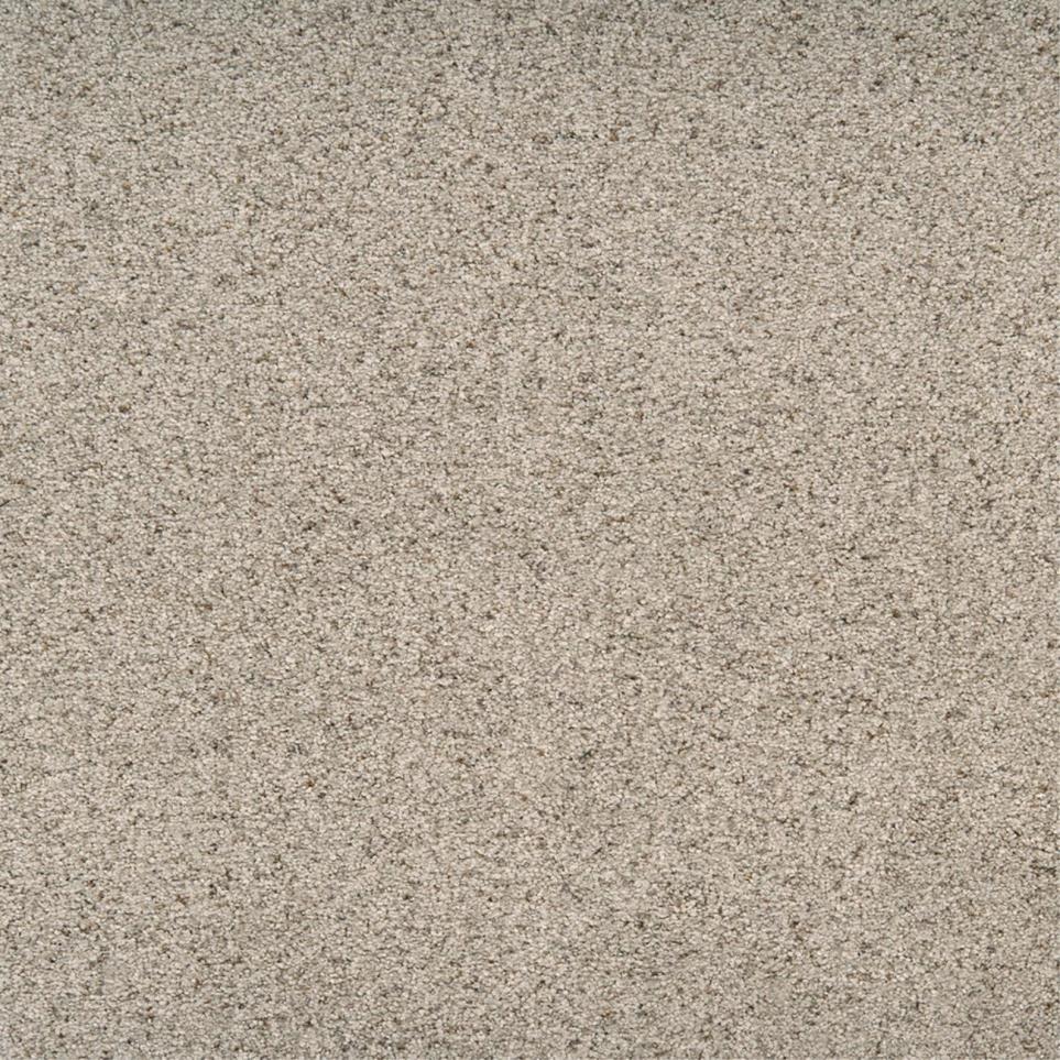 Textured Saxony Astute Beige/Tan Carpet