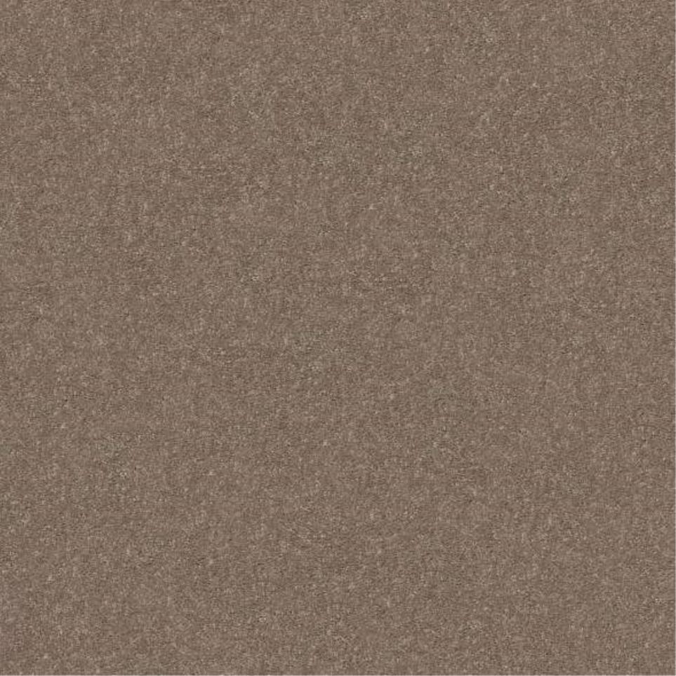 Plush Saxony Fence Post Beige/Tan Carpet