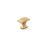 Aurum Brushed Gold