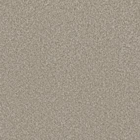 Textured Saxony Detailed Finish Beige/Tan Carpet