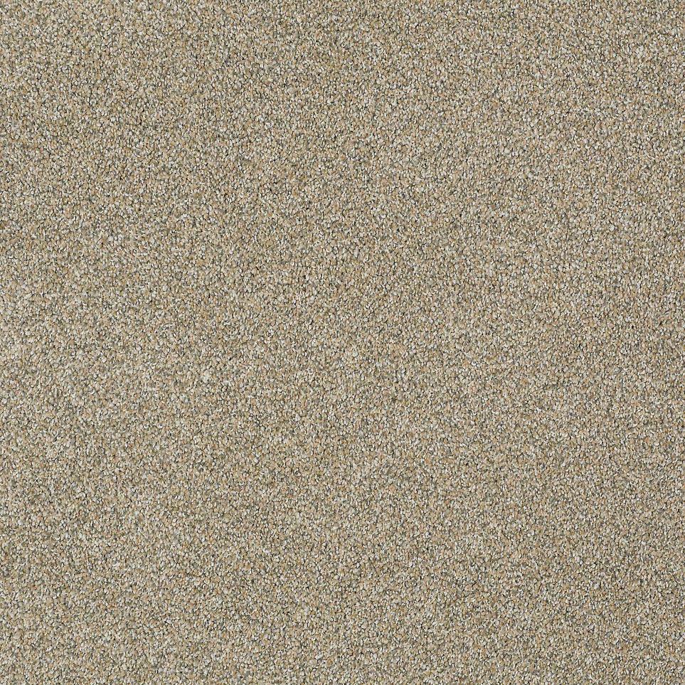 Texture Del Sol Beige/Tan Carpet
