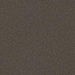 Textured Saxony Coffee Bean Brown Carpet