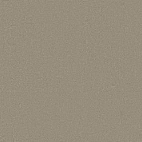 Textured Saxony Sand Paper Beige/Tan Carpet