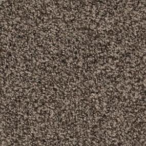Textured Saxony Sparrow Gray Carpet