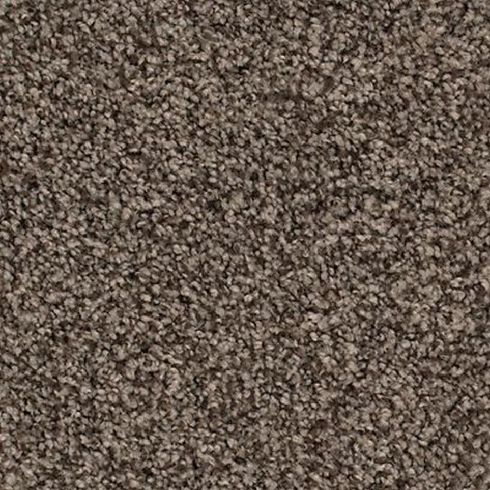 Textured Saxony Sparrow Gray Carpet
