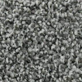 Textured Saxony Cityscape Gray Carpet
