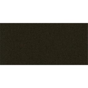 Loop Established Brown Carpet