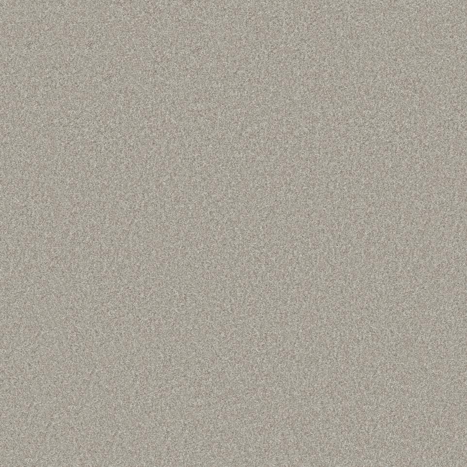 Casual Texture Dove Beige/Tan Carpet