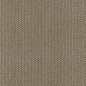 Loop Plaza Beige/Tan Carpet