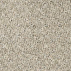 Pattern Frolic Beige/Tan Carpet