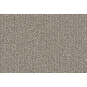 Loop Magnitude Gray Carpet