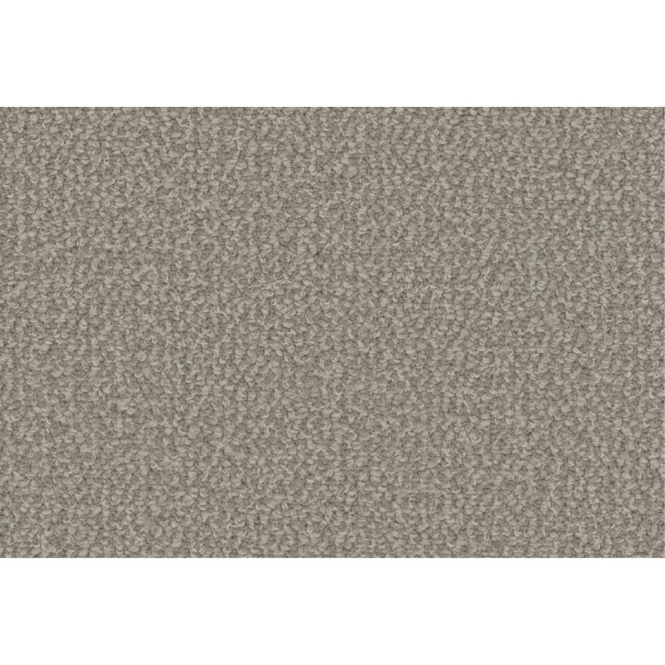 Loop Magnitude Gray Carpet