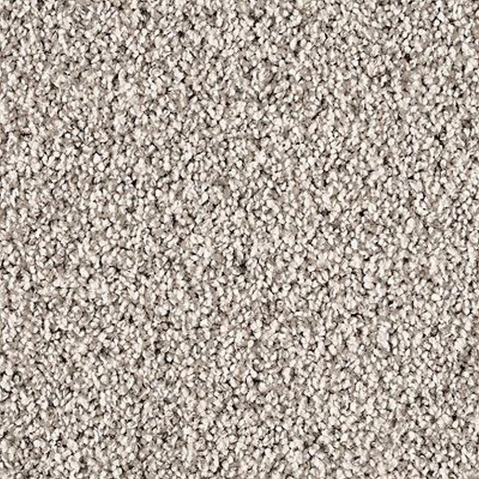 Textured Saxony Noble Gray Carpet