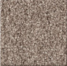 Cut Pile Landscape Brown Carpet