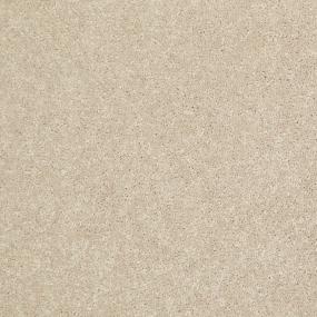 Texture Cobweb Beige/Tan Carpet