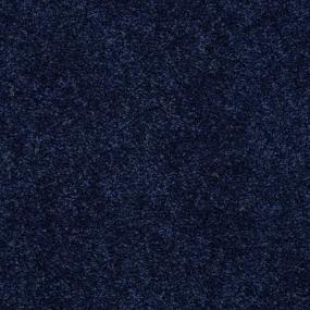 Texture Inkspot Blue Carpet