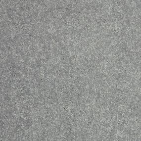 Texture Platinum Gray Carpet