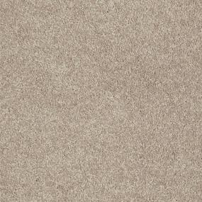 Texture Sombrero  Carpet