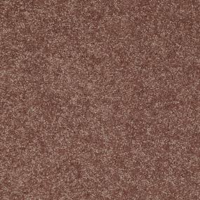 Texture Maple Syrup Brown Carpet
