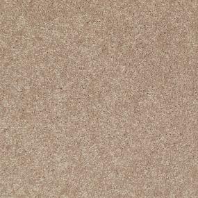 Texture Rich Earth Beige/Tan Carpet