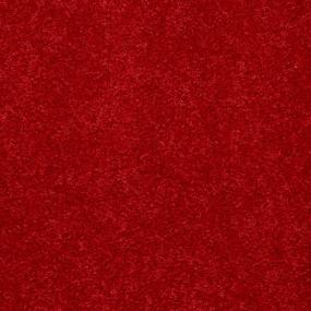 Texture Cardinal Red Carpet
