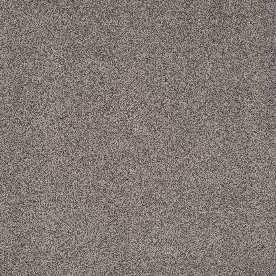 Textured Saxony Salt and Pepper Beige/Tan Carpet