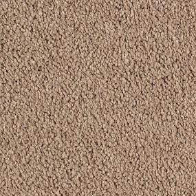 Cut Pile Whole Grain Brown Carpet