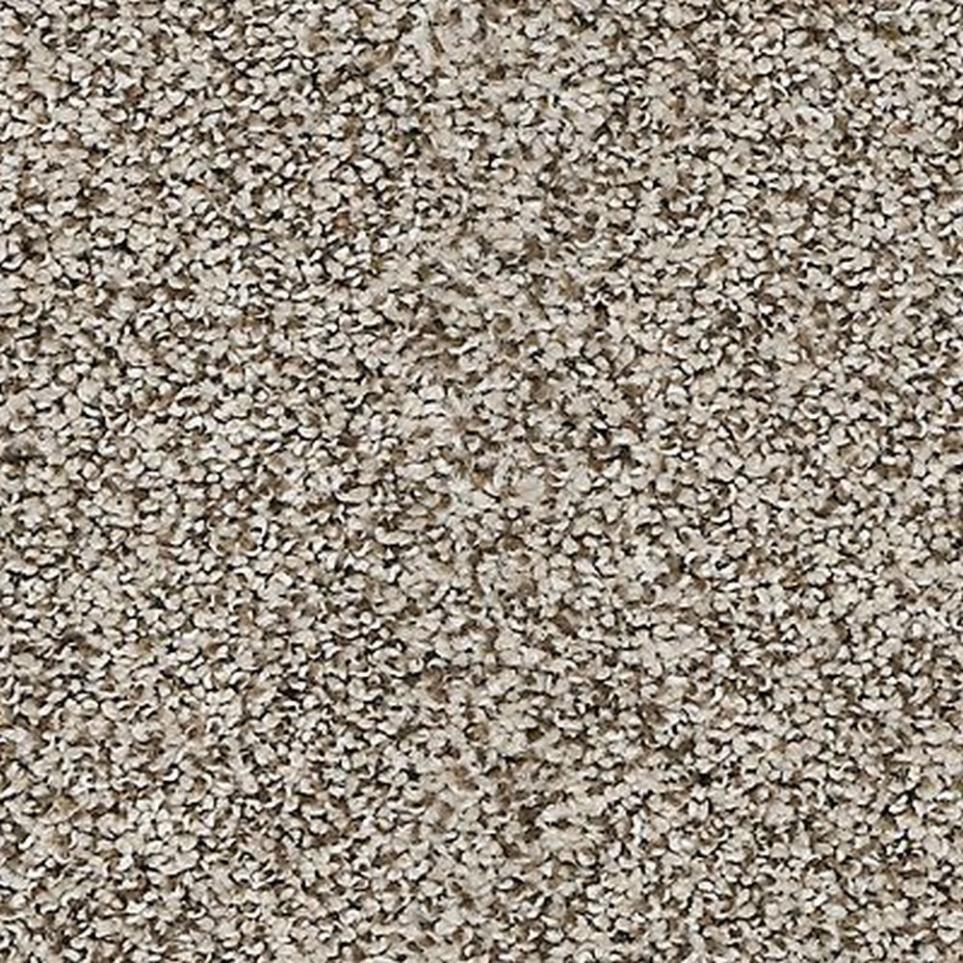 Textured Saxony Bali Beige/Tan Carpet