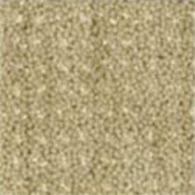 Pattern Beechwood Beige/Tan Carpet
