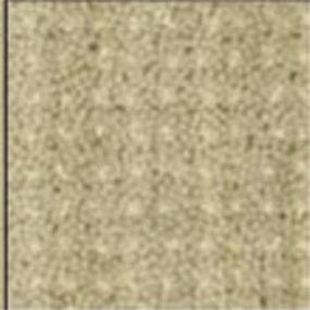 Pattern Blonde Beige/Tan Carpet