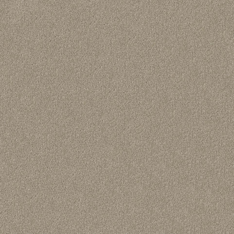 Plush Saxony Rock Garden Beige/Tan Carpet