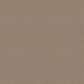 Textured Saxony Dreamcast Brown Carpet